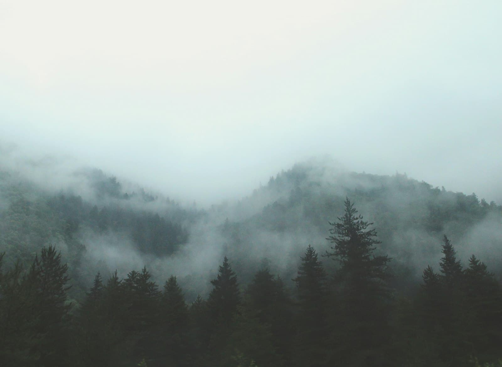 Soft mist over a forested mountain ridge